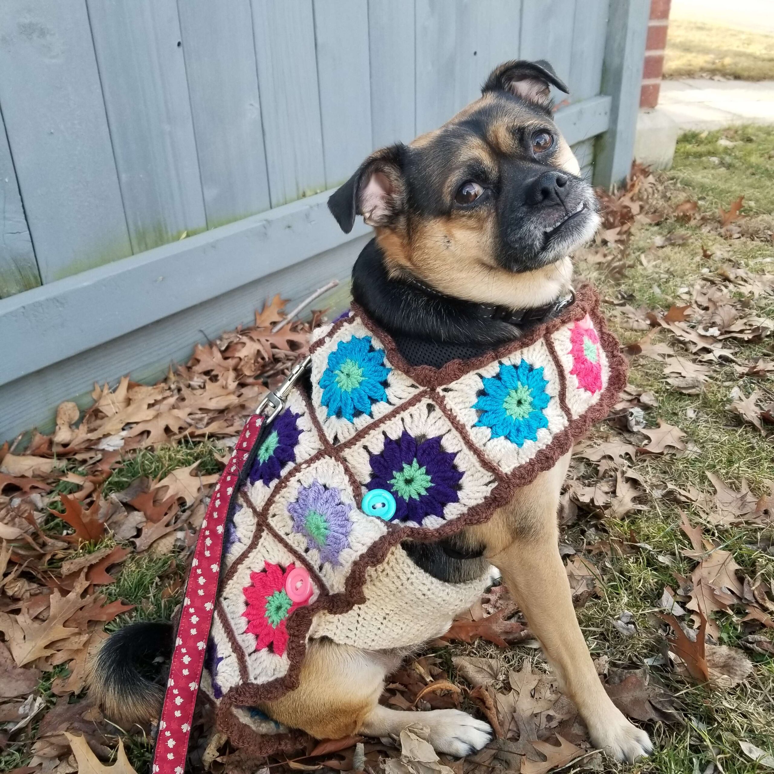 The Willow Granny Square Dog Coat Pattern with Video Tutorial Craftopia Collective